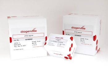 СПИН-КОЛОНКИ MICROCHIP DIAPURE, 50 РЕАКЦИЙ, АРТ. C03040001, DIAGENODE