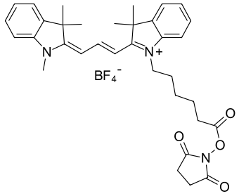 CYANINE3 NHS-ЭФИР, 100 MG, 61020