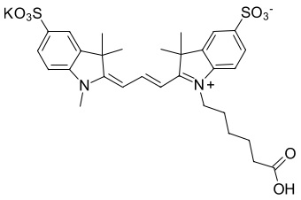 SULFO-CYANINE3 КАРБОНОВАЯ КИСЛОТА, 5 MG, 21390