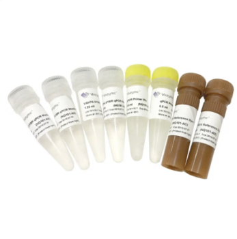 СТАНДАРТ ДНК VAHTS® ДЛЯ КОЛИЧЕСТВЕННОГО АНАЛИЗА БИБЛИОТЕК IIIUMINA® (LOW ROX), 8 РЕАКЦИЙ, АРТ. NQ105, VAZYME BIOTECH CO., LTD
