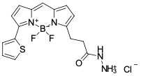 BDP 558/568 ГИДРАЗИД, 50 MG, 57470