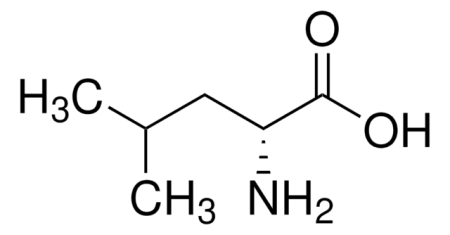 D-ЛЕЙЦИН (20Г) /D-LEUCINE