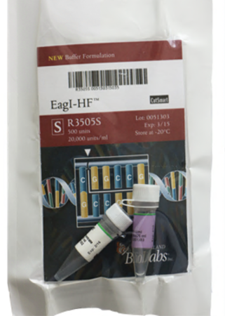 ДНК МОДИФИЦИРУЮЩИЙ ФЕРМЕНТ ЭНДОНУКЛЕАЗА РЕСТРИКЦИИ EAGI-HF™ (20 000 Е.А./МЛ, 500 Е.А.), АРТ. R3505 S, NEW ENGLAND BIOLABS