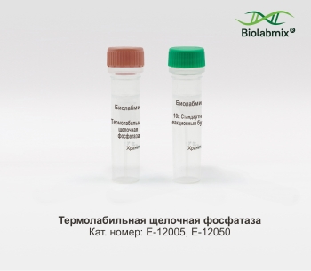 ТЕРМОЛАБИЛЬНАЯ ЩЕЛОЧНАЯ ФОСФАТАЗА