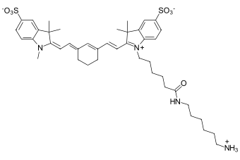 SULFO-CYANINE7 АМИН, 1 MG, 153C0
