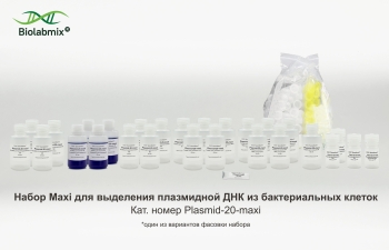 НАБОР MAXI ДЛЯ ВЫДЕЛЕНИЯ ПЛАЗМИДНОЙ ДНК ИЗ БАКТЕРИАЛЬНЫХ КЛЕТОК, 20 РЕАКЦИЙ