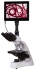 МИКРОСКОП ЦИФРОВОЙ LEVENHUK MED D10T LCD, ТРИНОКУЛЯРНЫЙ