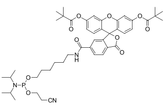FAM ФОСФОРАМИДИТ, 6-ИЗОМЕР, 1 G, F5160