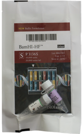 ДНК МОДИФИЦИРУЮЩИЙ ФЕРМЕНТ ЭНДОНУКЛЕАЗА РЕСТРИКЦИИ BAMHI-HF™, ВЫСОКОЙ КОНЦЕНТРАЦИИ (100 000 Е.А./МЛ, 50 000 Е.А.), АРТ. R3136 M, NEW ENGLAND BIOLABS