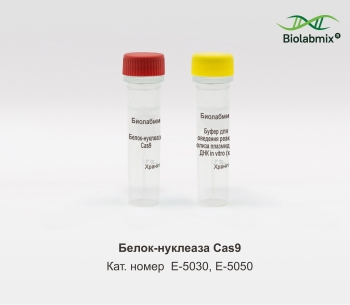 БЕЛОК-НУКЛЕАЗА CAS9