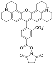 ROX NHS-ЭФИР, 5-ИЗОМЕР, 50 MG, 51220