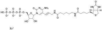 БИОТИН-11-CTP, 1 UMOL, 3354-1UMOL