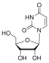 УРИДИН (5Г) /URIDINE
