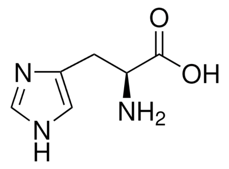 L-ГИСТИДИН (10Г) /L-HISTIDINE