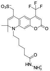 AF 430 ГИДРАЗИД, 1 MG, 10870