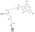 TAMRA CPG 500, 5-ИЗОМЕР, 1 G, 2792-1G
