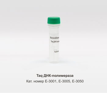 TAQ ДНК-ПОЛИМЕРАЗА, 5000 Е.А.