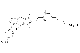 BDP TMR АМИН, 100 MG, 624C0