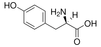D-ТИРОЗИН (50Г) / D-TYROSINE