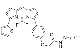 BDP TR ГИДРАЗИД, 5 MG, 23470