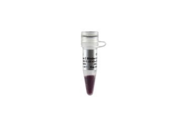 МАРКЕР ДЛИН БЕЛКОВ EASYSEE® II (30-150 КДА), 2 Х 250 МКЛ, АРТ. DM211-02, TRANSGEN BIOTECH CO