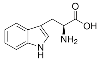 L-ТРИПТОФАН (5 Г) / L-TRYPTOPHAN