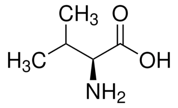 L-ВАЛИН (25 Г) /L-VALINE