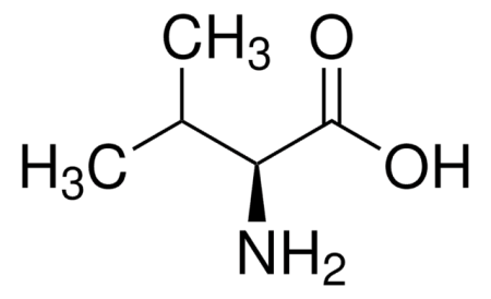 L-ВАЛИН (25 Г) /L-VALINE