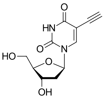 EDU (5-ЭТИНИЛ-2'-ДЕЗОКСИУРИДИН), 500 MG, 30540