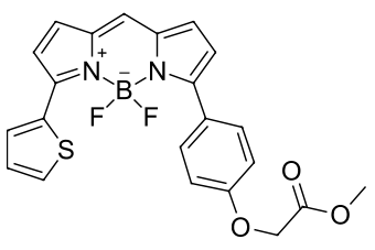 BDP® TR МЕТИЛОВЫЙ ЭФИР, 1 ML, 5 MM/DMSO, 1171-1ML