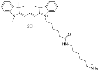 CYANINE3 АМИН, 100 MG, 610C0