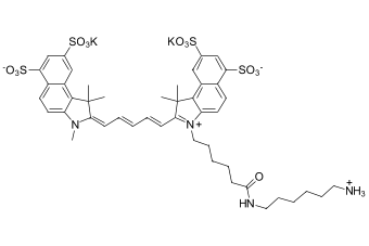 SULFO-CYANINE5.5 АМИН, 50 MG, 573C0