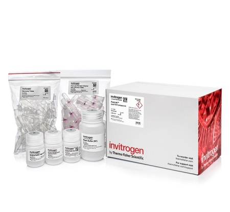НАБОР PURELINK™ ДЛЯ ОЧИСТКИ ПЦР, 50 РЕАКЦИЙ, АРТ. K310001, THERMO FISHER SCIENTIFIC