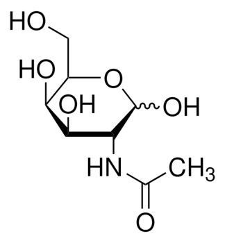 N-АЦЕТИЛ-D-ГАЛАКТОЗАМИН (1Г) /N-ACETYL-D-GALACTOSAMINE