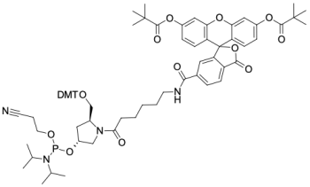 FAM ФОСФОРАМИДИТ, 6-ИЗОМЕР (ГИДРОКСИПРОЛИНОЛ), 250 MG, 25360