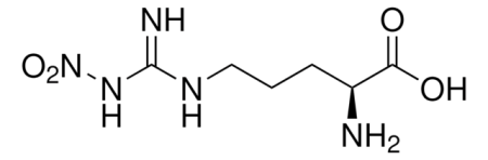 N-ОМЕГА-НИТРО-L-АРГИНИН (1Г) / N?-NITRO-L-ARGININE