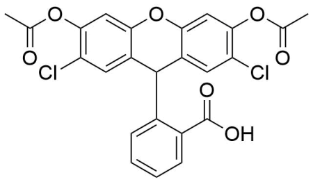 H2DCFDA (2',7'-ДИХЛОРОДИГИДРОФЛУОРЕСЦЕИН ДИАЦЕТАТ), 100 MG, 2247-100MG