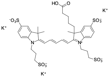 AF 647 КАРБОНОВАЯ КИСЛОТА, 100 MG, 66890